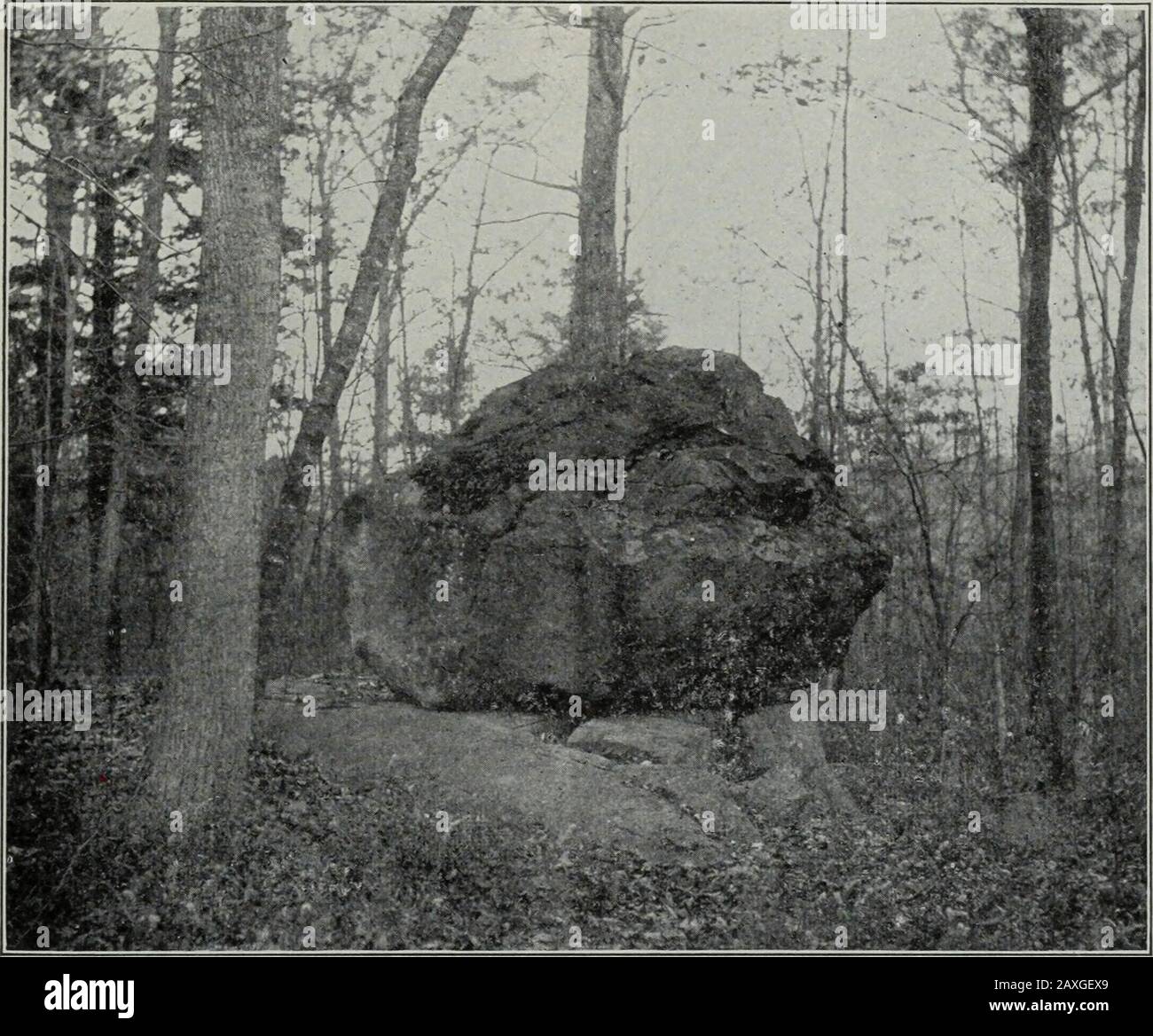 Géologie . b-angulaire, et la fatigue qu'ils ont subi a été effectuée par planage et ecchymose, plutôt que par roulement (Fig. 254, Vol. I et Figs. 476 et 477). Les côtés du Theplane se rencontrent à différents angles, bien que l'angle d'intersection soit rarement aigu. Ces roches plantées sous-angulaires sont souvent marquées distinctement par une ou plusieurs séries de lignes égratignées, sur une ou plusieurs de leurs faces. Les lignes de chaque série sont parallèles, mais celles de différentes séries peuvent se traverser à n'importe quel angle. En aucun cas toutes les pierres de la dérive montrent des stries. Ils sont rarement LE PLÉISTOCÈNE OU GLACIAL Banque D'Images