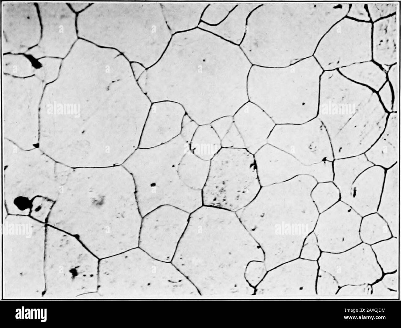 Plastique sous microscope Banque de photographies et d’images à haute résolution Alamy