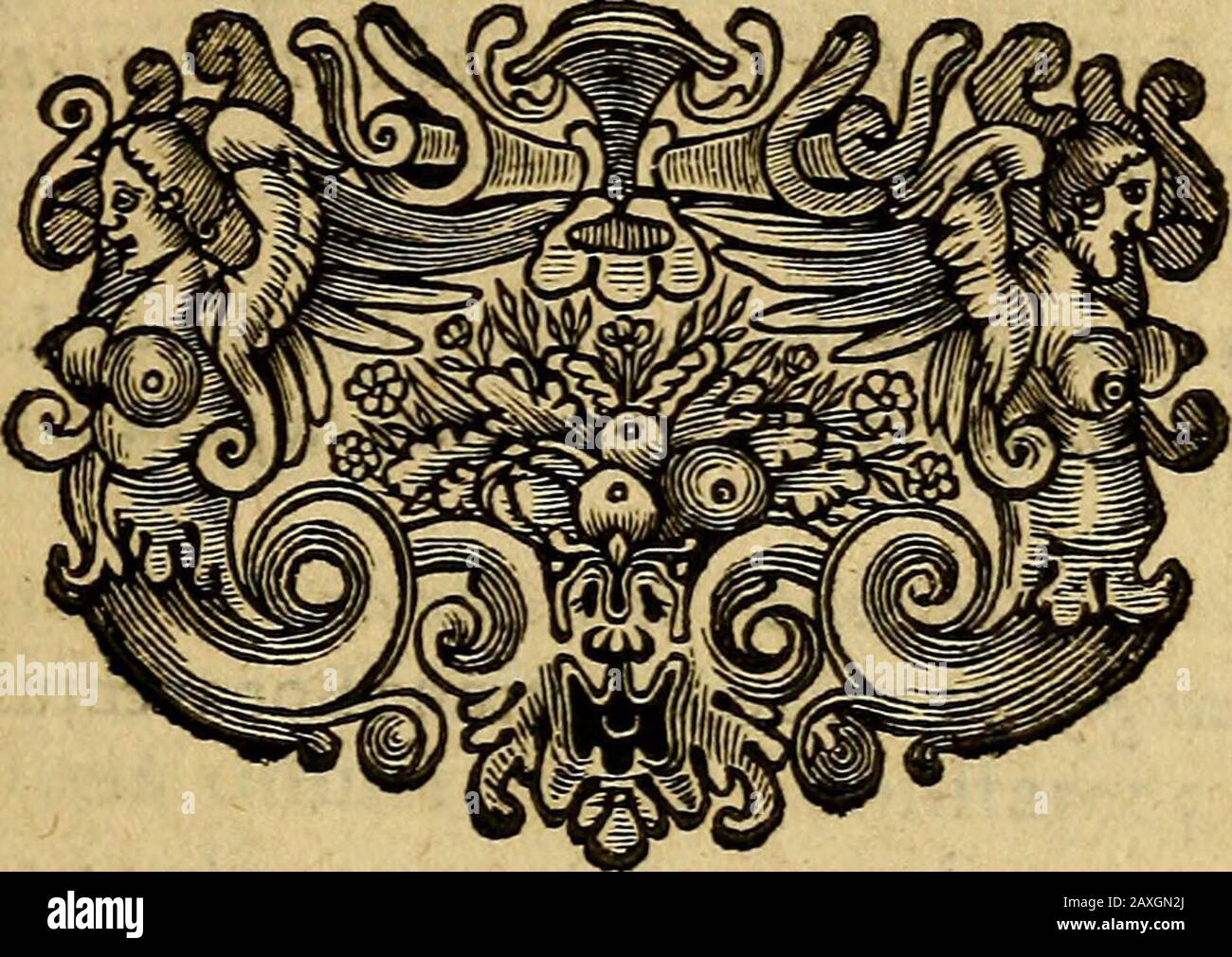 Historia Gotthorum, Vandalorum, & Langobardorum . nous incomparahilis G r o-T i V s 5 ad plureis cajjjit. Brgo ^de quihm Legibm Q)mmentarium^n-*gularem vuhaVit Lindenbrooim, vir ^ ^, * ^ m in omni hiflororialtteratura fummusyjludiofum LeBorem eo remittimm. V-num adhuc ^ G r o t i o TraBatumhahehamm ^ Omnium nomapeinum Ulatiwrum, ac verhorum, aliorumqueyocahulorum Qotthicorum^ Vandali--corum y &- Langohardorum Sylla^hum, qu^ in Trocopio (s Agathia /---------------------------------- EUM fuhjecimm. Lornandem^Ijidorum, Taulum T)iaconum, quo-rum ipje Dibo loco l^rolegomenorumfa-cit mentionem 3 quoniam ah eo hahereneq Banque D'Images