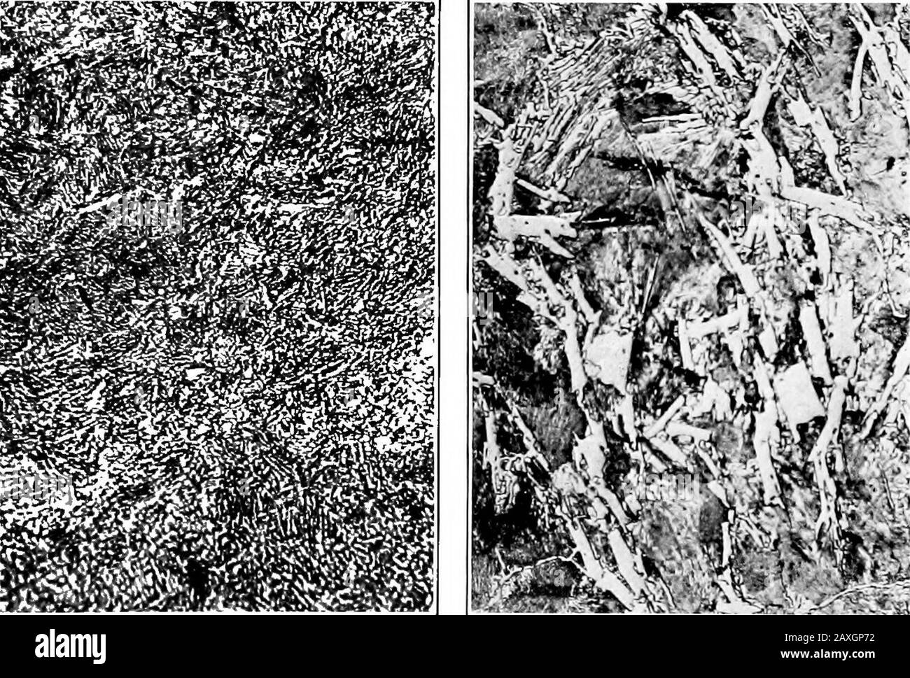 Métallurgie; une introduction à l'étude de la métallurgie physique . i.^C&gt;;;-^: Is^«*4|^^HI IH^ f^ M ^^ n ^m^^m 1 Pig. 69. Fig. 70.. Fig. 71. Fig. 72. [bas/acep. 175. Le SYSTÈME FER-CARBONE 175 Btrutirea a rencontré dans cet acier par rapport à une teneur en carbone inférieure; seulement, conformément aux indications du schéma, l'acier à carbone supérieur, lorsqu'il est refroidi lentement, contient une proportion beaucoup plus importante de l'eutectoid pearpekte thani avec une teneur en carbone plus faible. C'est bien rugueux en comparant la Fig. 69, plaque XIV., relative à cet acier, avec fig. 67, plaque XIII., relative à t Banque D'Images