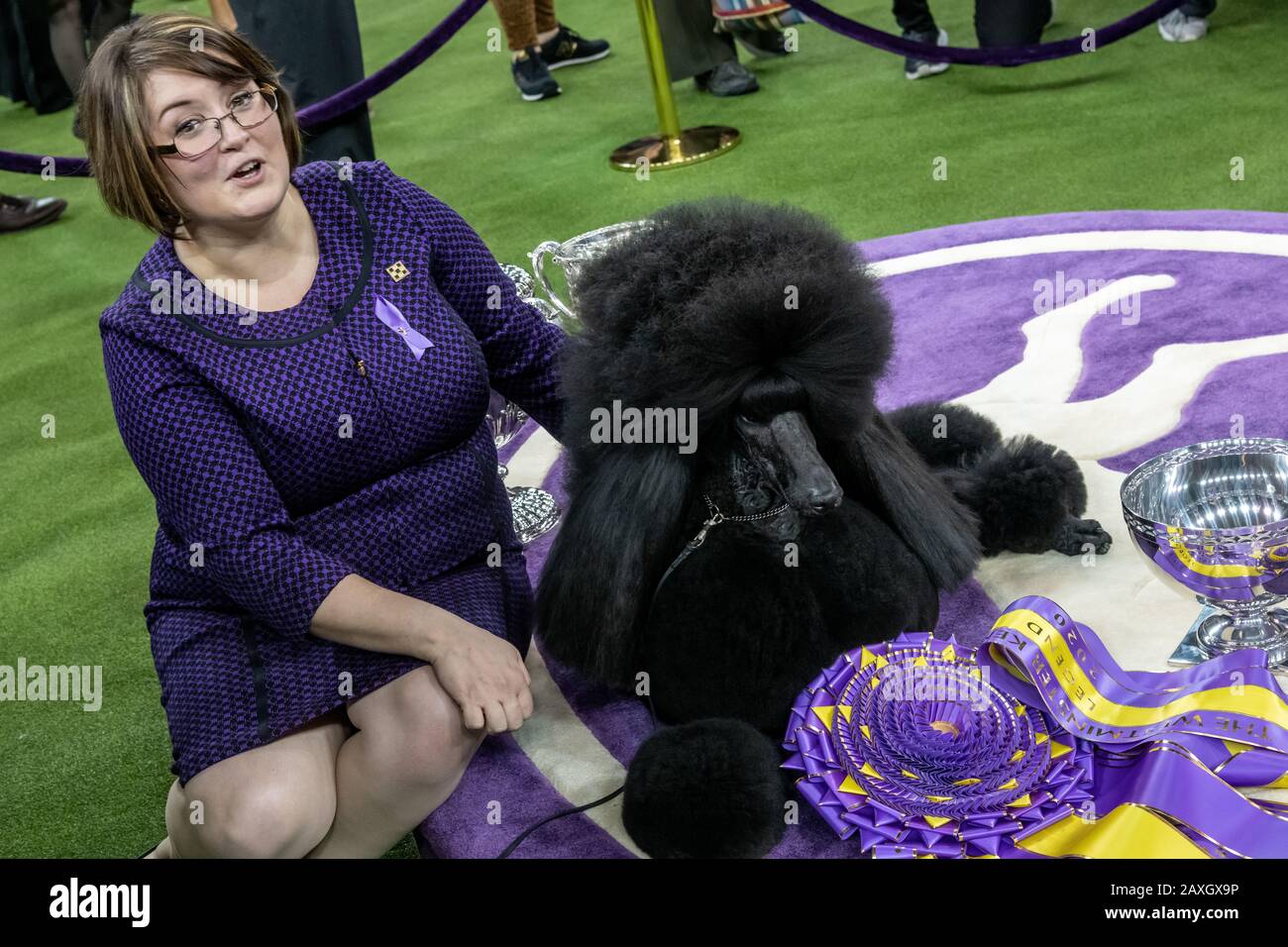 New York, États-Unis. 11 février 2020. Le Handler Chrystal Clas de Northampton, en Pennsylvanie, et sa pose Standard Poodle Siba avec leurs trophées après avoir remporté le meilleur prix du spectacle lors du 144ème spectacle Westminster Kennel Club Dog dans le Madison Square Garden de New York. GCHP Stone Run After Tea, alias Siba, appartenant à Connie Unger et William Lee, avait auparavant remporté le meilleur de Breed pour les caniches standard, et la catégorie de groupe non sportif. Crédit: Enrique Shore/Alay Live News Banque D'Images