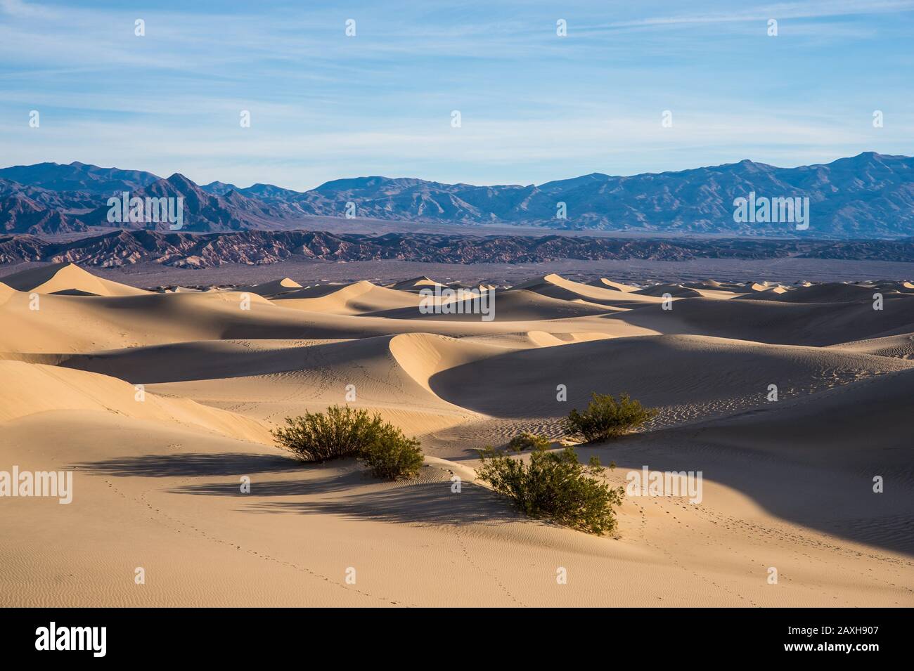 Mesquite dunes de sable plates, Parc National de la Vallée de la mort, Californie, États-Unis Banque D'Images