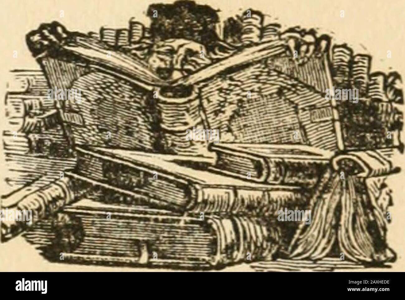 Fleurs de dell et de Bower . New YORK WHITE, STOKES, & ALLEN 1886 COPYRIGHT, 1886, By white, stokes, & ALLEN. U h(o SH-5 ILLUSTRATIONS. PAR SUSIE BARSTOW SKELDING. PAGE JACQUEMINOT ROSES, .... FRONTISPIECE DERRIÈRE ARBUTUS, 23 MARGUERITES ET HERBES BLANCHES, . . 33 ROSES SAUVAGES, ^3 LIS DE PÂQUES, 33 [Avec télécopieur du manuscrit, par Lucy Larcom.) POIS DOUX, 63 VIOLETTES, 7 j&gt; MOSS ROSES, 83 JONQUILS ET CROCUSES, pj&gt; AZALÉES ROSES ET BLANCHES, . ... 103 LILAS BLANCS, 113 ROSES JAUNES PÂLE, 123 Le rédacteur reconnaît la courtoisie de MM. Roberts Brothers et D. Appleton df Co. Pour l'utilisation de poèmes b Banque D'Images