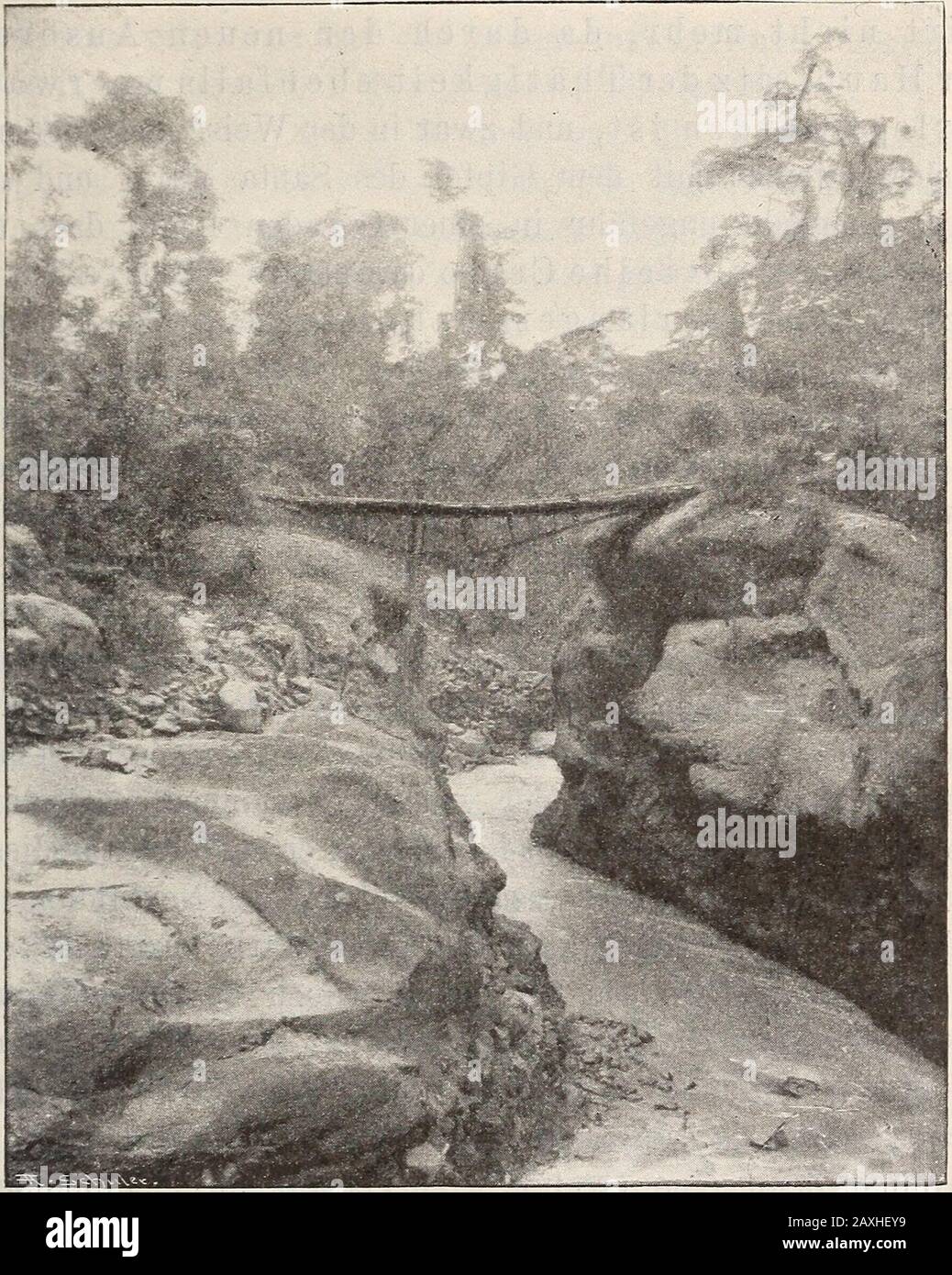 Neues Jahrbuch für Mineralogie, Geologie et Paläontologie . r zwei kleine Inselchenerstehen liess, ist dagegen in einiger Entfernung von den SanSalvador-Vulcanen erfolgt. Schon Dollfus und Montsrats2 haben 1868 auf diegesetzmässige Anordnung der Vulcane und die gruppenförmigeZusammendrängung vieler von ihnen aufmerksam gemacht.Sie haben auch schon hervorgehoben, dass eganze Anzelerkseeweitzün, Zäusbeitzbehün, Zäuchtersfäuchtersfäuchtersfäuchtersützenstützen „, Zaunung und Verklfung und Veräussern Insostern damit vielfach eine allzu wörtlicheAuffassung de Banque D'Images