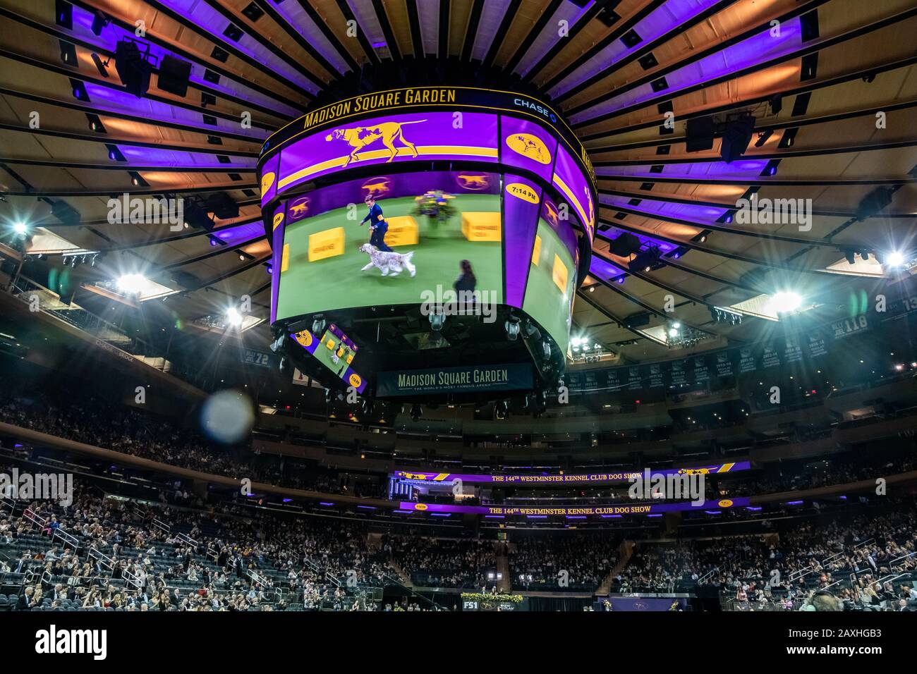 New York, États-Unis. 11 février 2020. Les écrans géants de télévision sur le toit permettent aux spectateurs de suivre le 144ème spectacle de chiens Westminster Kennel Club dans le Madison Square Garden de New York. Crédit: Enrique Shore/Alay Live News Banque D'Images