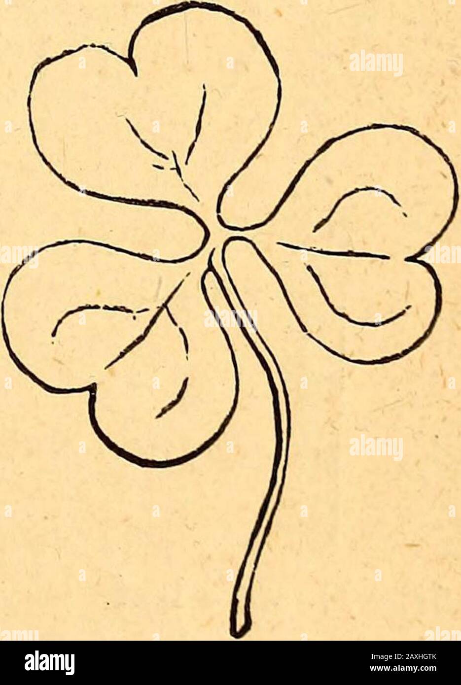 Texte-livre de botanique structurel et physiologique . Fig. 156 ...
