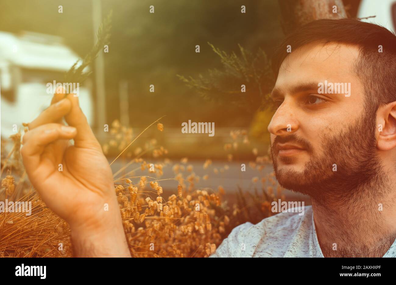 Jeune homme turc tenant une fleur ou une mauvaise herbe dans la lumière du soleil à l'extérieur. Concept D'Amour De Forêt. Banque D'Images