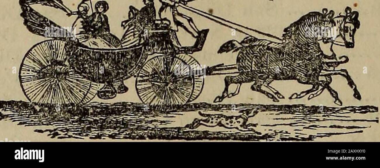 Manuel et annuaire des comtés de San Luis Obispo, Santa Barbara, Ventura, Kern, San Bernardino, Los Angeles et San Diego, avec une liste des bureaux de poste de la côte du Pacifique .. . N Pascual San Diego Julian.. 9 M E San Luis Monserrate , Milquatay San Diego Co Dyer Ranch San Diego Co Nr Campo Julian City , San Diegnito San Diego Co San Diego Co San Diego Co San Diego San Diego Banner City San Diego Co San Diego Co San Diego Co Nr Greens Valley. San Diego Co Julian San Diego Tia Juana San Diego Co Nr Green Valley.... Ville ou P. 0. Rey San Diego.San Diego.San Diego.San Diego.San Diegnito. San Pascual. San Dieg Banque D'Images