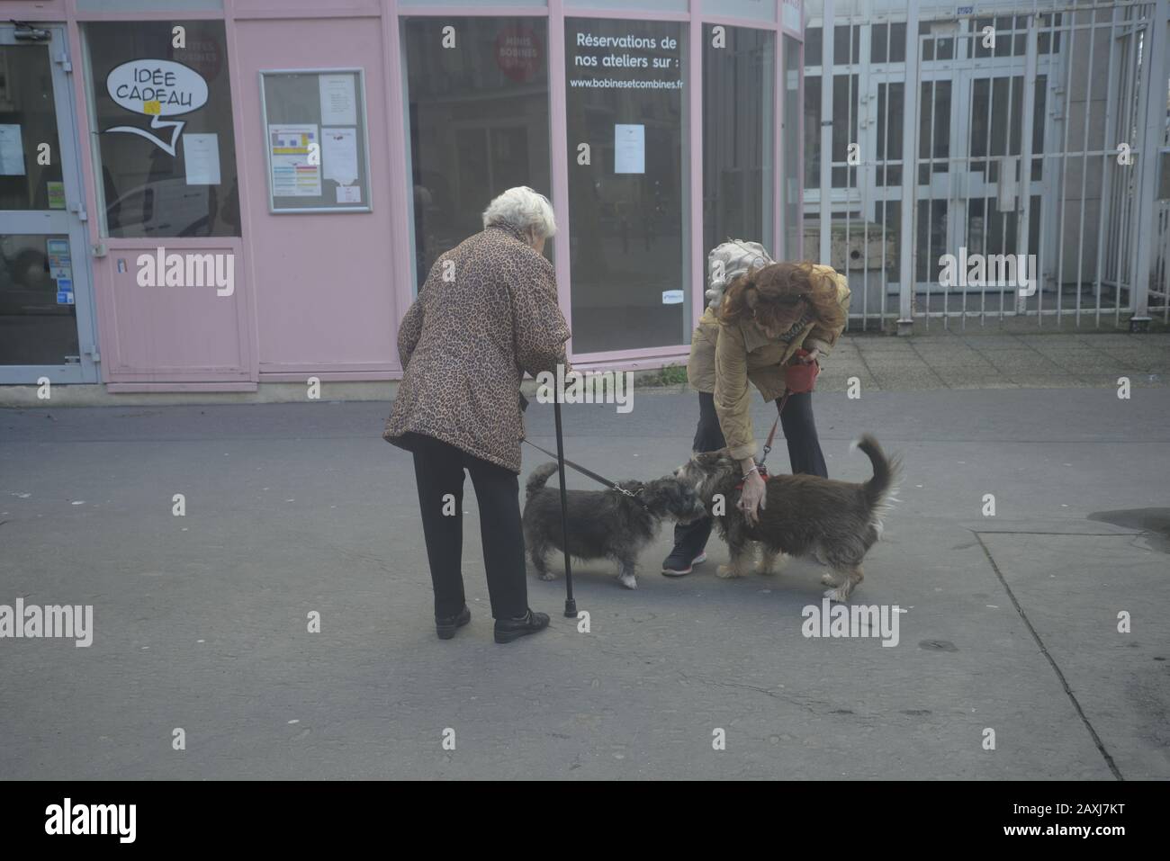 Animaux de compagnie et gens à Paris, pasakdek Banque D'Images