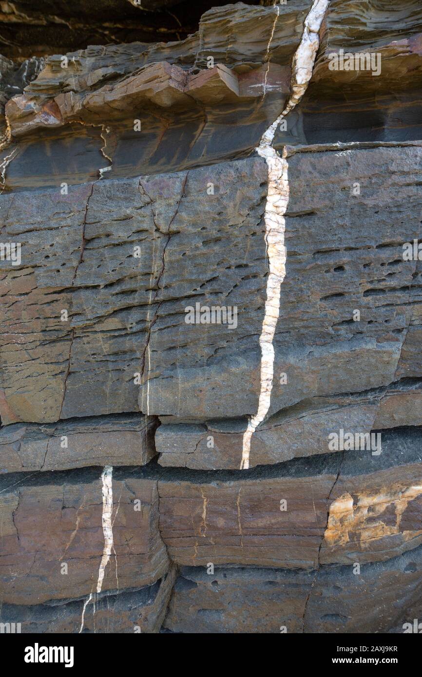 Digue de quartzite à veine blanche traversant des couches de roches sédimentaires métamorphisées sur la côte atlantique de la falaise côtière, Odeceixe, Algarve, Portugal Banque D'Images