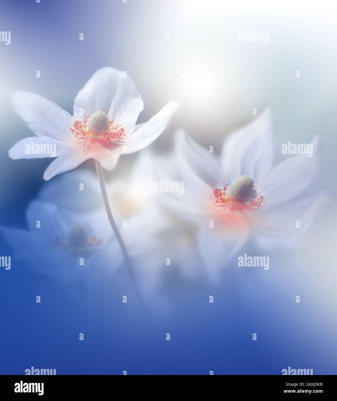 Magnifique Nature Contexte.Conception Artistique Florale.Photographie Macro Abstraite.Papier Peint Artistique Créatif.Couleur Bleue Classique.Célébration,Amour.Happy Holiday Banque D'Images