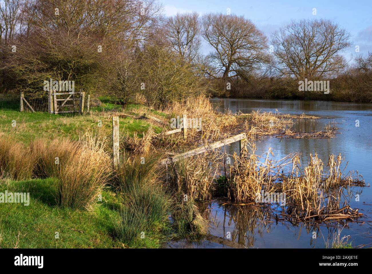 La Tamise alors qu'elle traverse la campagne de l'Oxfordshire en Angleterre. Le niveau est élevé en raison de fortes chutes de pluie Banque D'Images