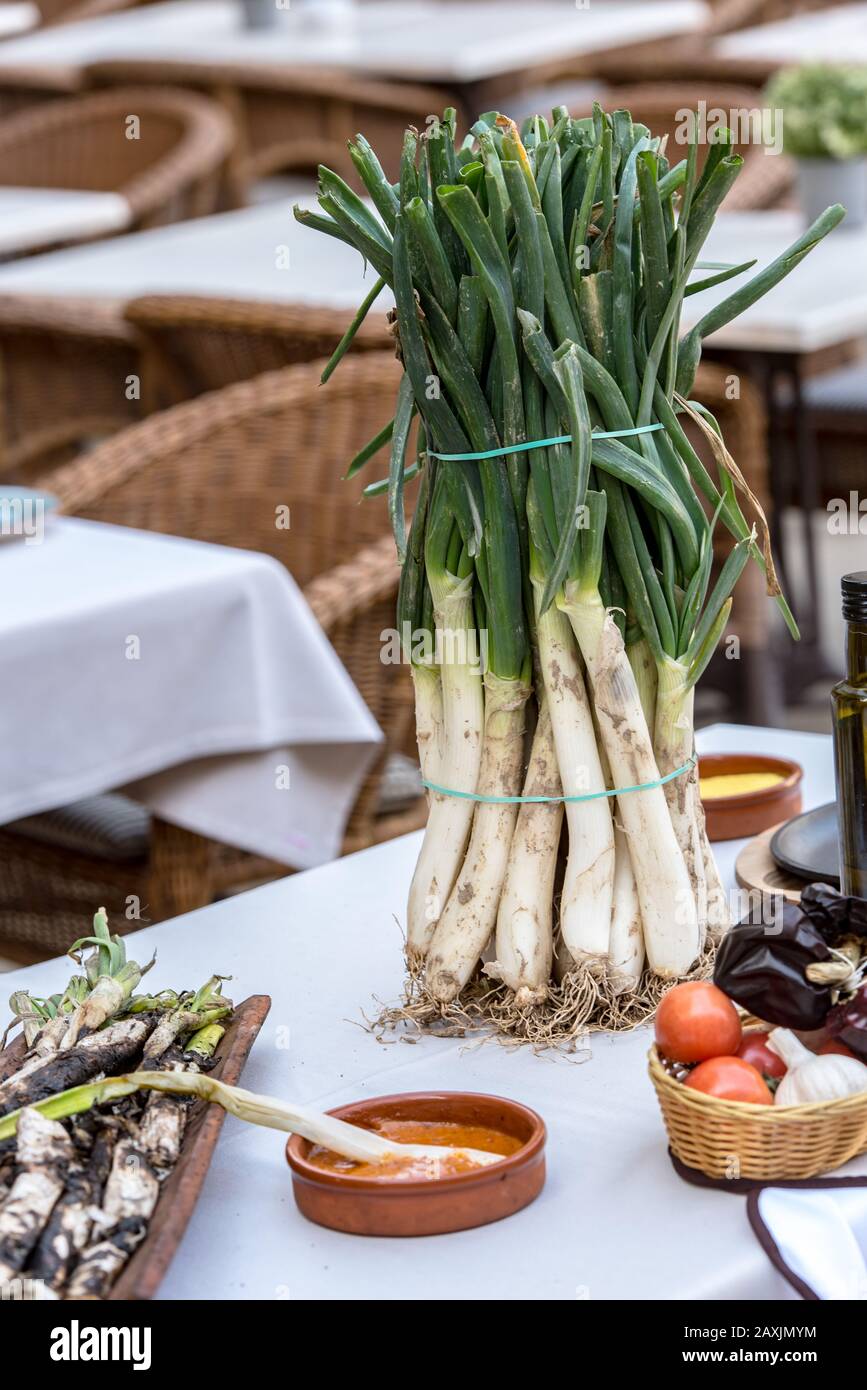 Oignons de calcottes rôtis servis sur plaque avec sauce Romesco – plat d'hiver catalan traditionnel. Banque D'Images