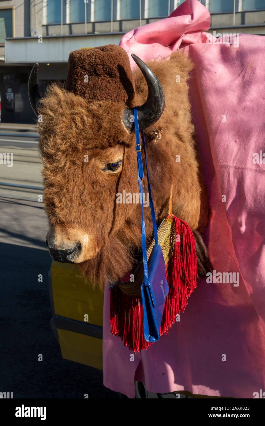 Tête de bison naturalisée sur le marché aux puces de Genève, Suisse Banque D'Images