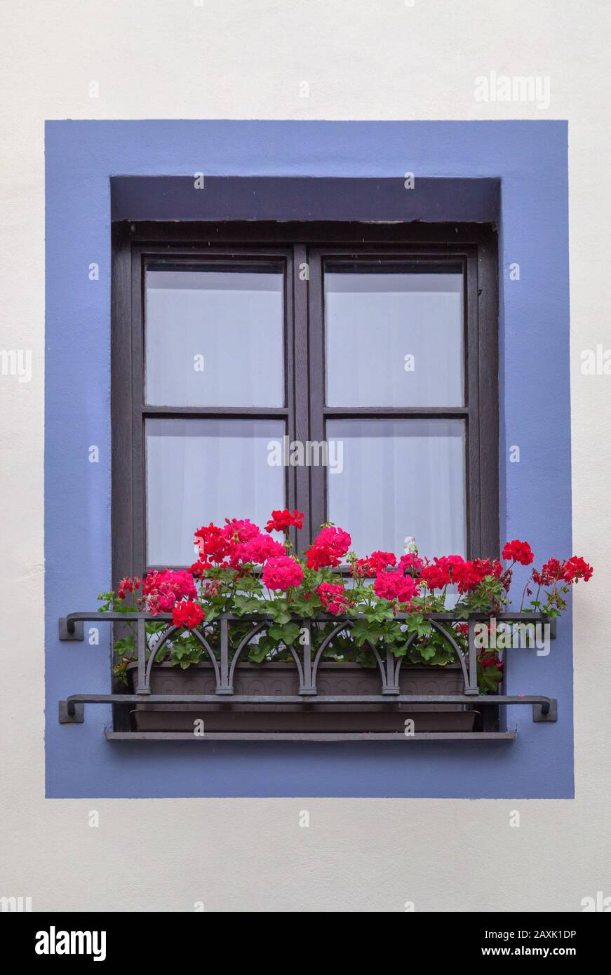 Fenêtre fermée avec fleurs rouges sur un mur lumineux dans un cadre bleu. Banque D'Images