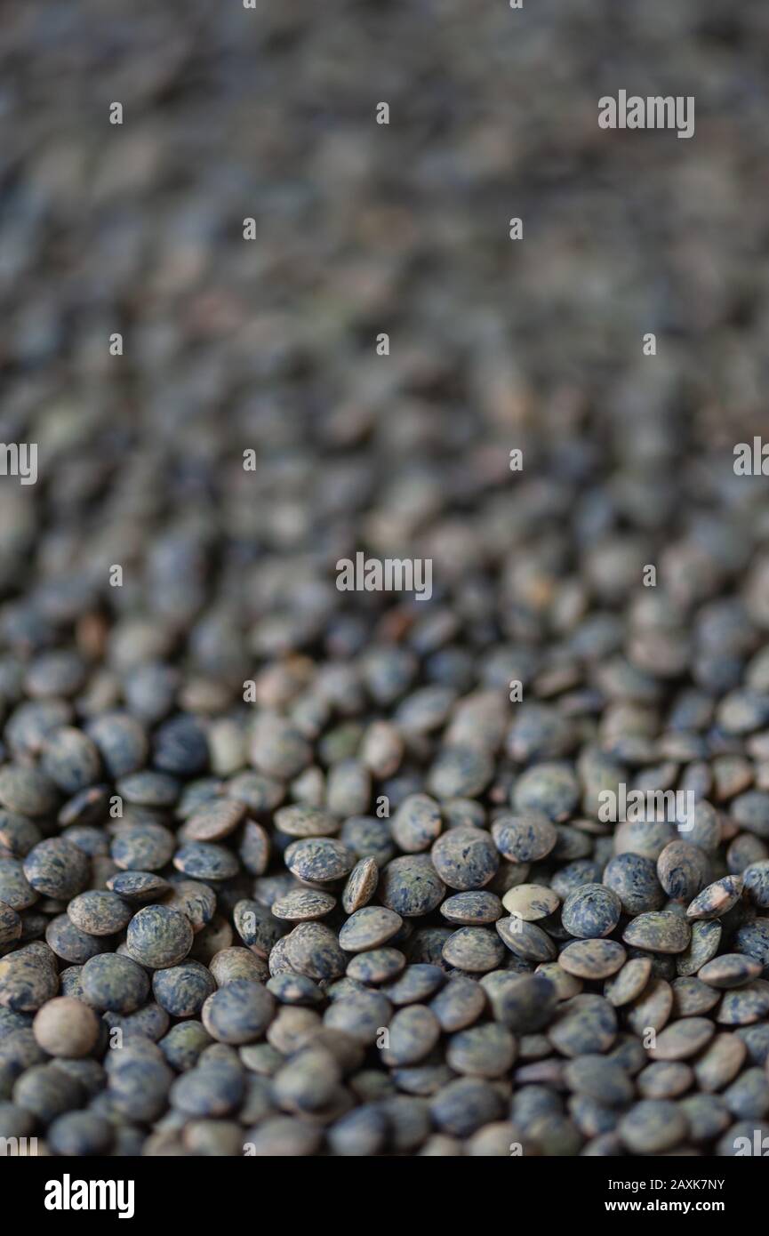 Gros plan sur les lentilles vertes montrant leur patron vert et bleu. Banque D'Images