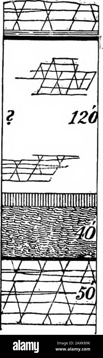 Rapport d'avancement 1874-1889, A-Z .. . qui trois pieds de sandstoneis exposé. § 72. Canton De Marion. C'est à l'est de Mercer et au nord des cantons de Cherry. Sa surface est diversifiée par les vallées nord et sud des trib-utaires à la branche nord du ruisseau Glissant Kock. Les terres de Thesummit sont souvent assez fertiles, mais ont été ex-harouillées par le travail excessif et ont besoin d'un traitement complet de récupération. Le Freeport Sandstone est pris dans les collines les plus élevées, et le long des basses terres des branches Glissantes de Rock le Homewood Sandstone est généralement perspicace, jutting dehors dans des escarpements cassés sur les deux côtés de t Banque D'Images