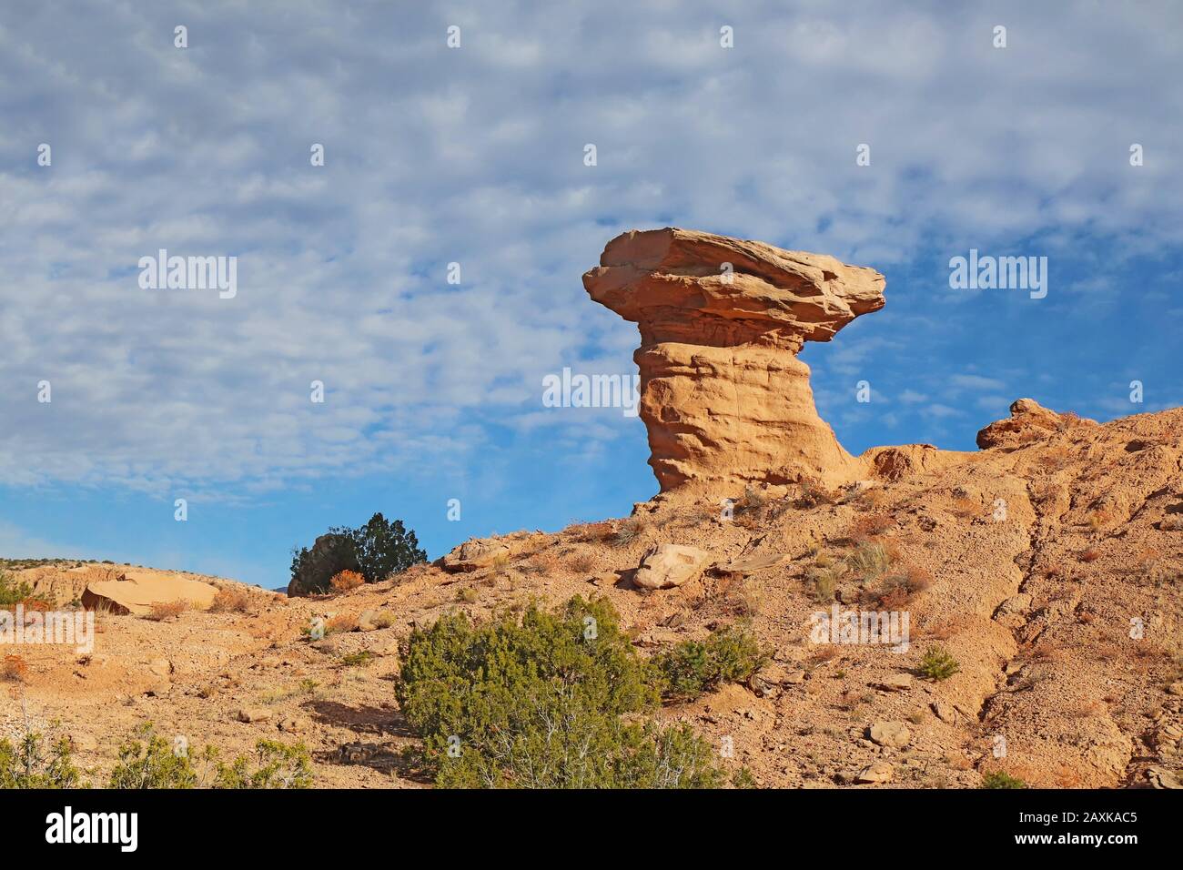 Le monument en grès rose Camel Rock, situé près du Pueblo Tesuque, juste à côté de l'autoroute 285 à quelques kilomètres au nord de Santa Fe, Nouveau-Mexique Banque D'Images
