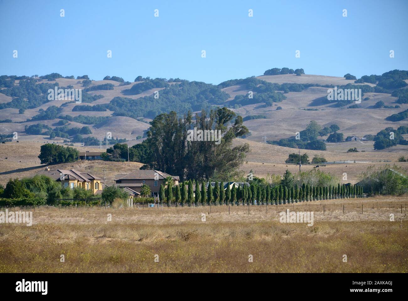 Région viticole Comté de Sonoma, Petaluma, Californie, États-Unis Banque D'Images
