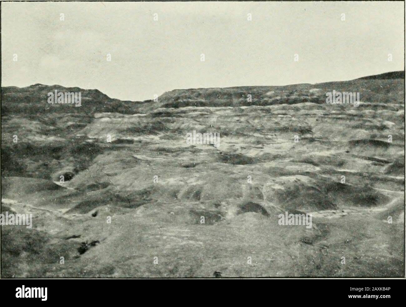 Les fléaux de la Patagonie; un récit de l'expédition suédoise à la Patagonie, à la Tierra del Fuego et aux îles Falkland en 1907-1909 . -^^^^v^ vue de Pampas près du lac Argentino. Paysage mort, à l'est de Leona Rikk. ACEOSS LA SIERRA DE LOS BAGUALES 263 où de l'autre côté de la rivière. La rivière doit être embrassée dans un bateau, et dès que nous avons vu la maison nous avons fait un feu de signalisation. Quand nous sommes tombés sur la rivière, il nous a rencontrés et nous a pris les bagages à travers. Les chevaux étaient laissés de l'autre côté, le yegua gardemaneas sur et un cheval avec un cordon ; ainsi nous avons felteasy en dépit du mauvais gras Banque D'Images