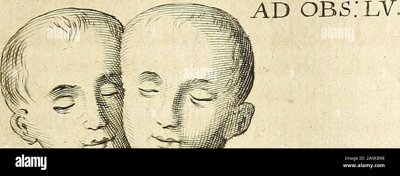 Miscellanea Curiosa Medico-Physica Academiae Naturae Curiosorum . Banque D'Images