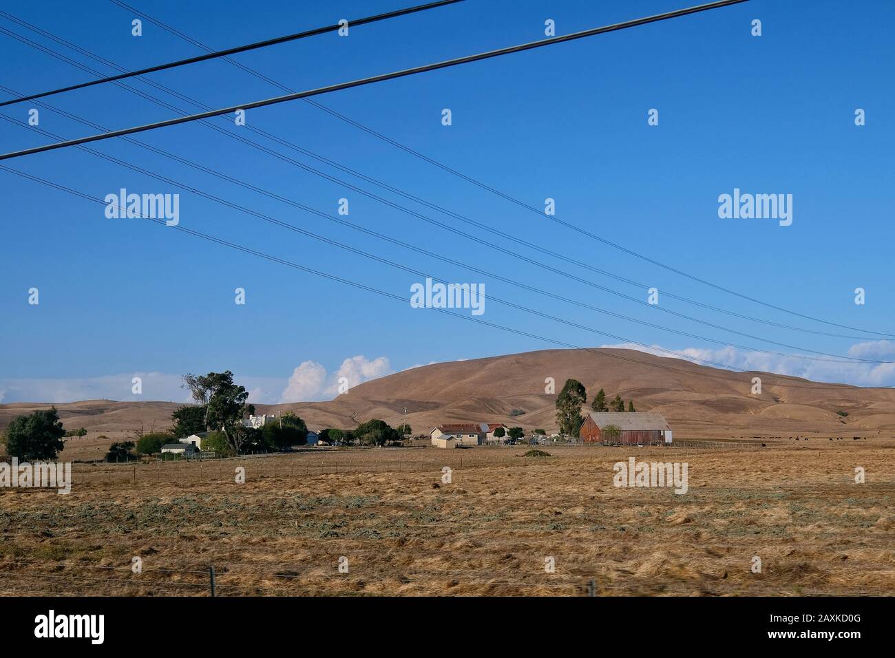 Région viticole Comté de Sonoma, Petaluma, Californie, États-Unis Banque D'Images