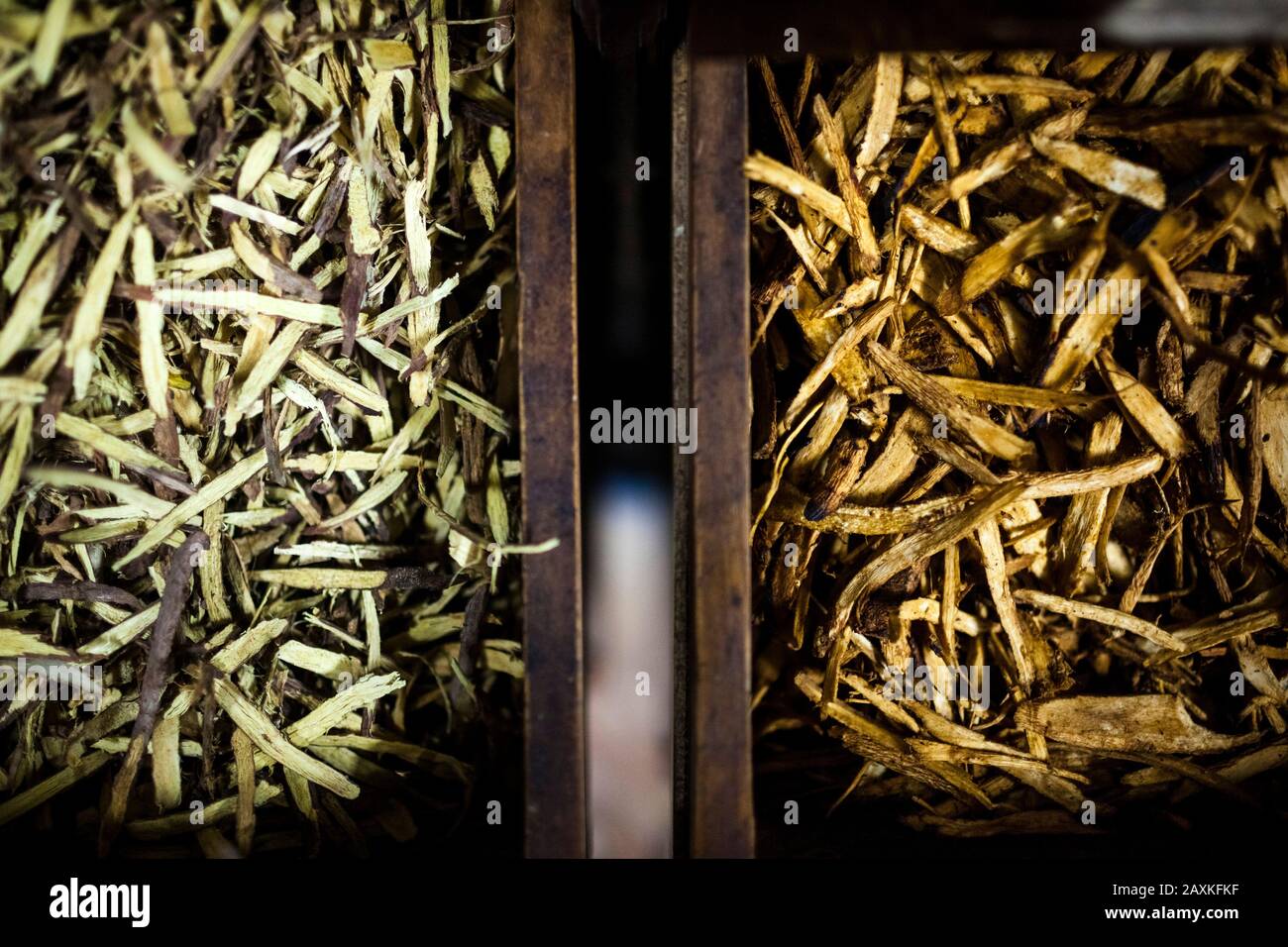 Gros plan à angle élevé de différents types de racines séchées, utilisées dans les médicaments traditionnels à base de plantes dans les armoires d'une pharmacie familiale. Banque D'Images