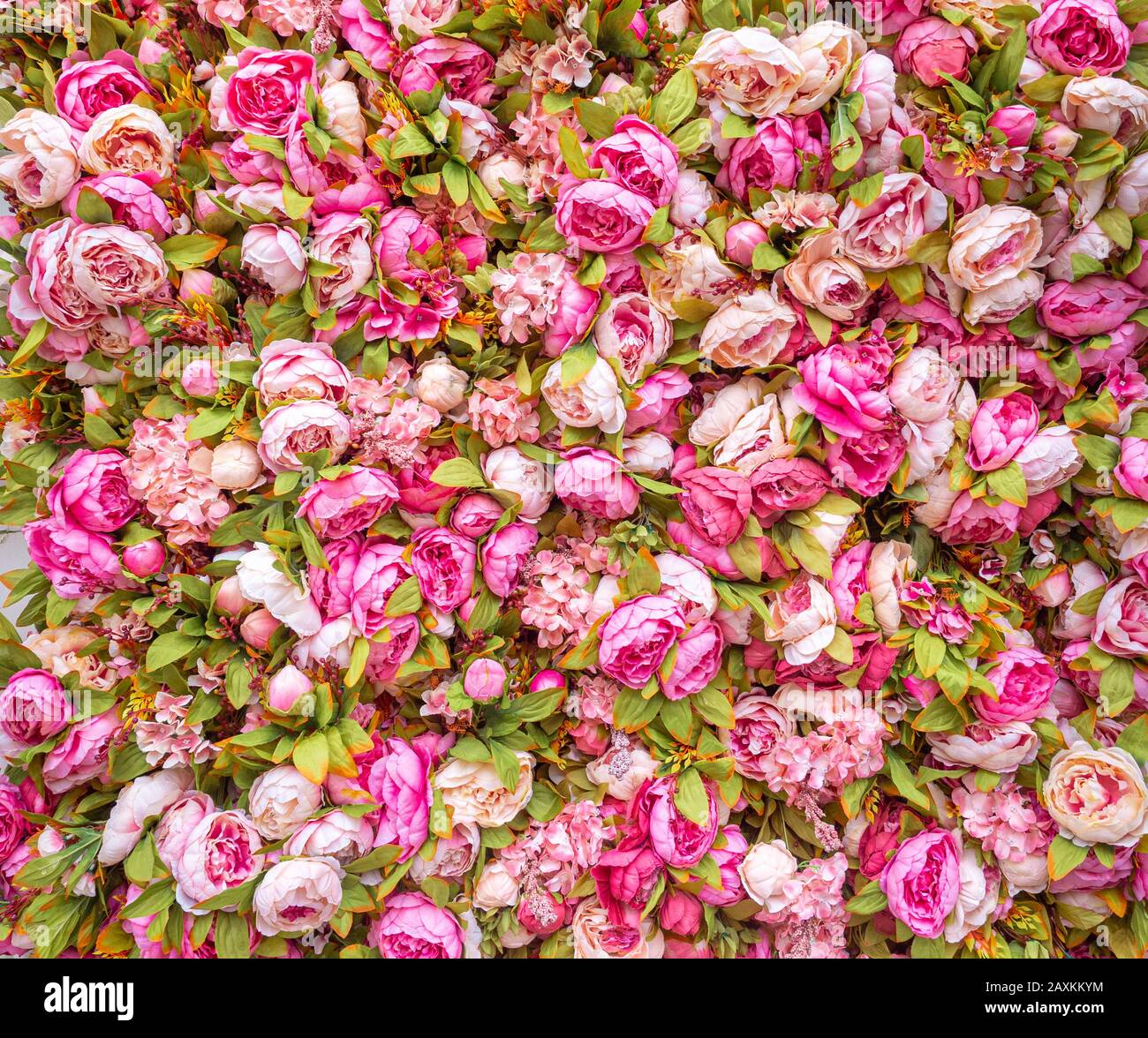 Magnifique toile de fond de pivoines roses artificielles. Décoration festive de mariage. Fond rose floral. Fleurs roses fond Banque D'Images