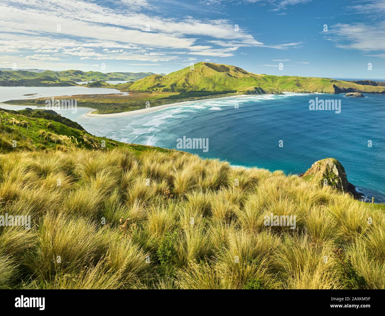 Allans Beach De La Réserve De Loisirs De Sandymount, Otago, Île Du Sud, Nouvelle-Zélande, Océanie Banque D'Images