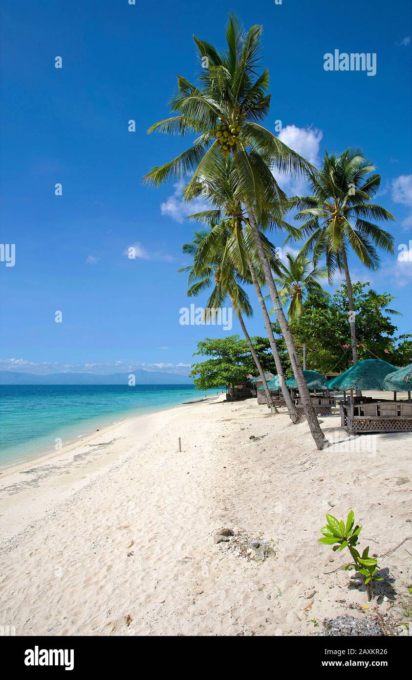 Plage blanche, plage populaire à Moalboal, Cebu, Philippines Banque D'Images