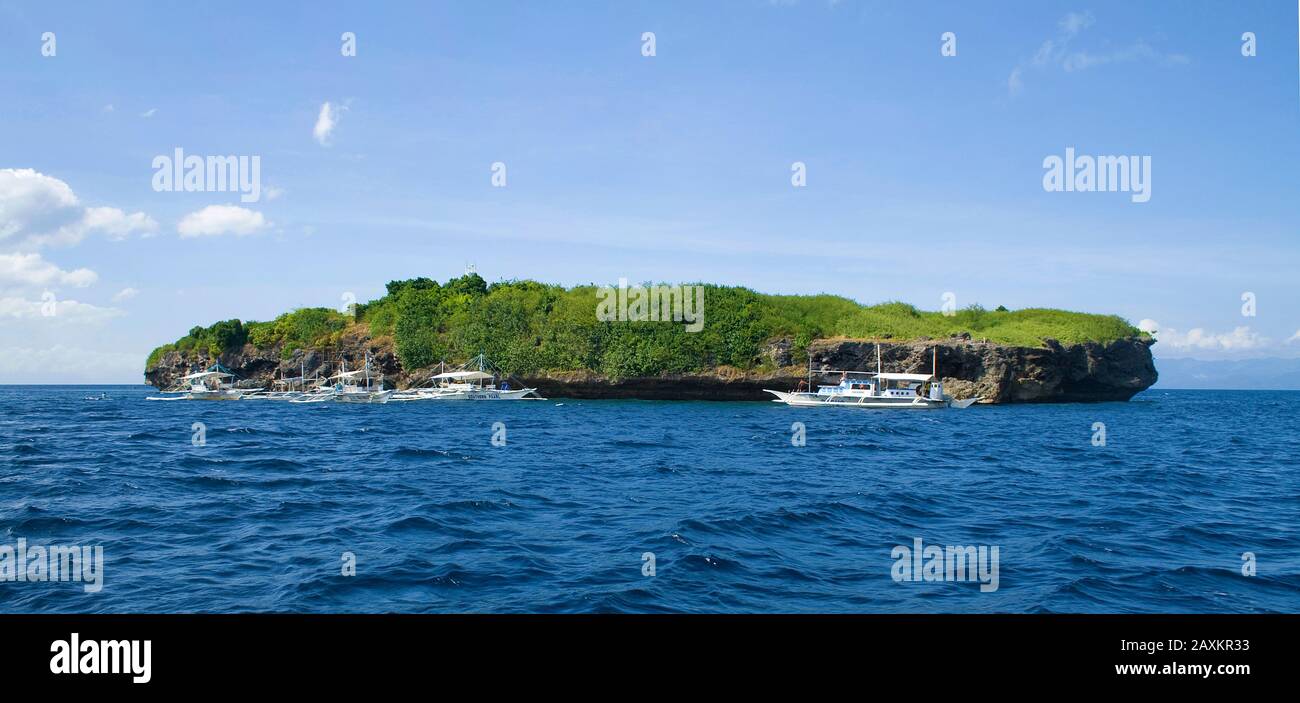Île de Pescador, célèbre site de plongée sous-marine et parc marin, Moalboal, Cebu, Philippines Banque D'Images