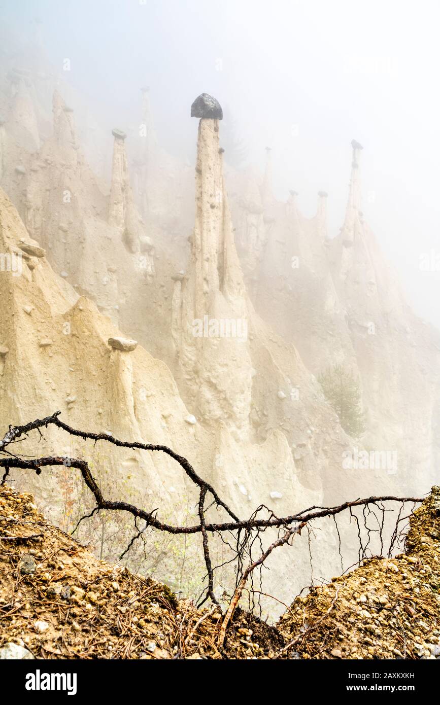 Pyramides De Terre, Perca/Percha, Province De Bolzano, Tyrol Du Sud, Italie Banque D'Images