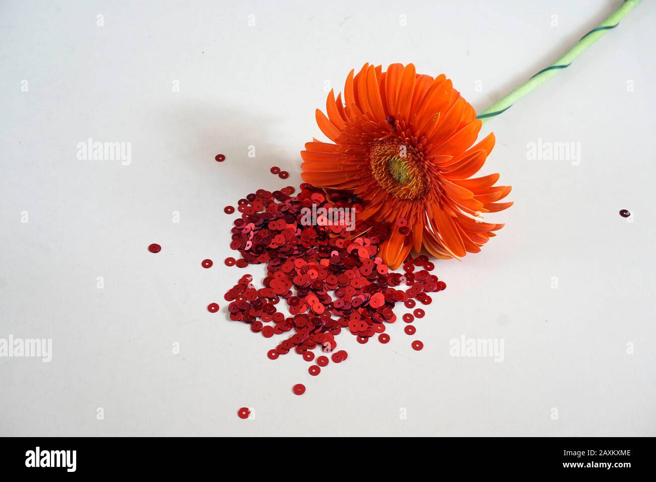 Gerbera fleur et séquesins rouges. Concept d'amour. Espace de copie. Paillettes et paillettes de sequins rouges. Banque D'Images