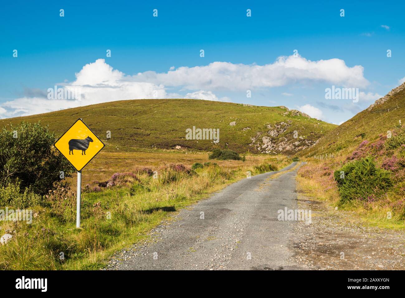 Route de campagne à travers la commune de Croaghtrasna vers Muckish Mountain (Un Mhucais), une partie de la gamme de Derryveagh, Comté Donegal, Irlande Banque D'Images