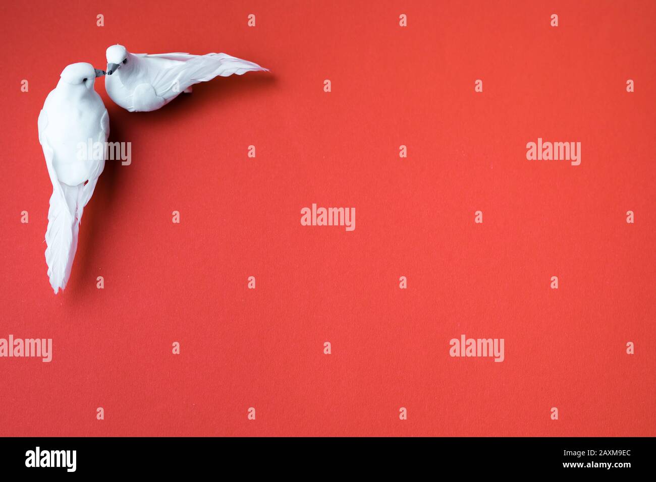 Deux colombes blanches, symbole de l'amour, baiser sur fond rouge Banque D'Images