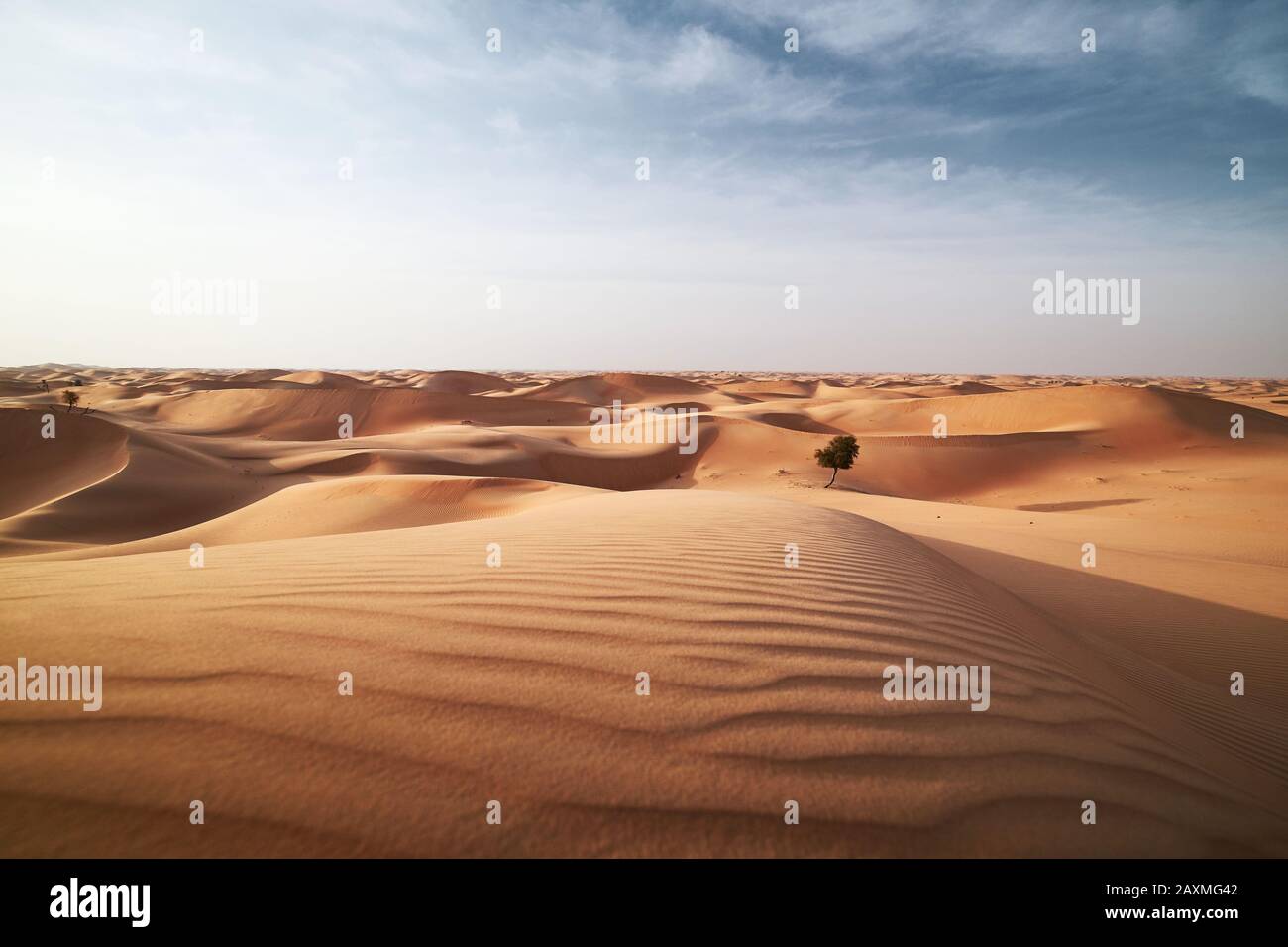 Dunes de sable dans le désert paysage. Abu Dhabi, Émirats Arabes Unis Banque D'Images