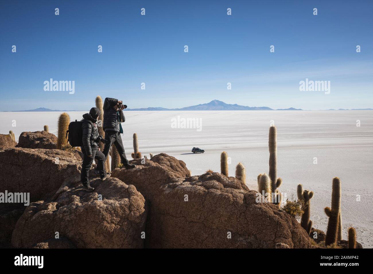 Photographier le champ de Cactus sur l'île incahuasi à Uyuni Banque D'Images