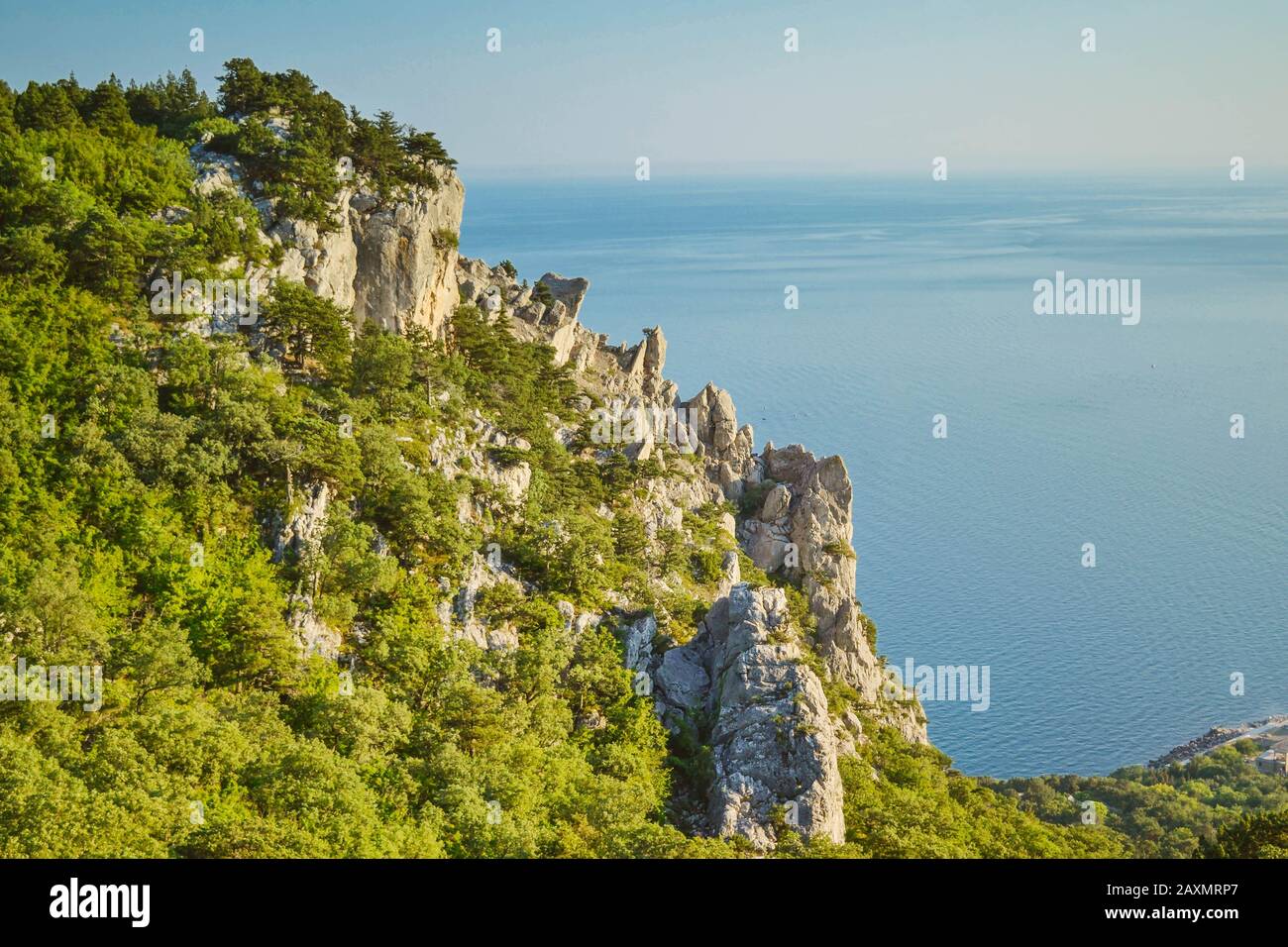 pointe d'une falaise aux arbres et à la mer Banque D'Images