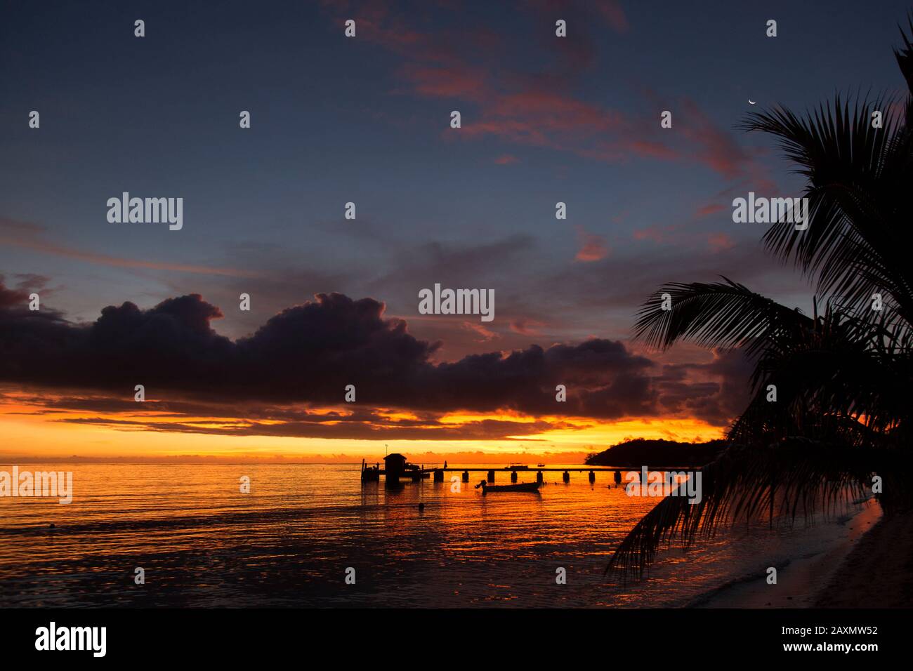 Silhouette de palmier à côté de l'océan pendant un coucher de soleil coloré Banque D'Images