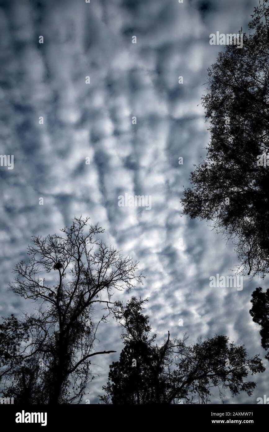 Les nuages de Stratocumulus sont une combinaison de deux types de nuages : Stratus et cumulus, et indiquent l'instabilité atmosphérique. Banque D'Images