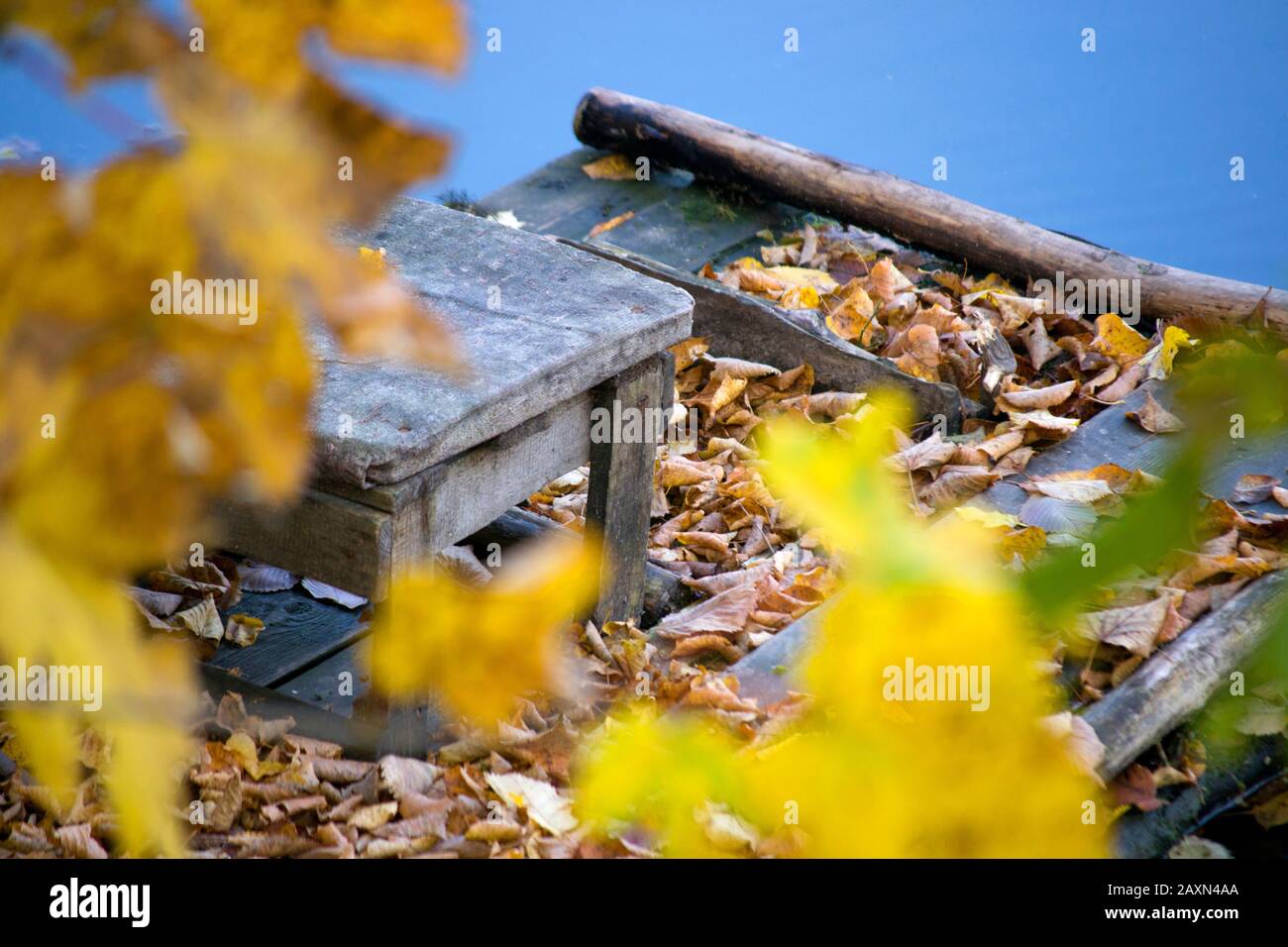 tabouret en bois tombé feuilles angle vieux peuplements Banque D'Images