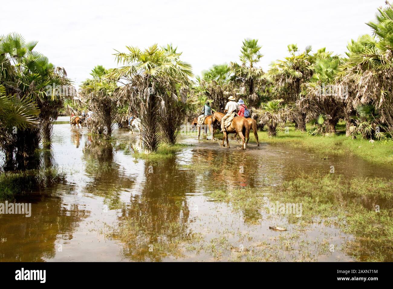 Touristes Dans Un Étang De Saline, Corumbá, Mato Grosso Do Sul, Brésil Banque D'Images