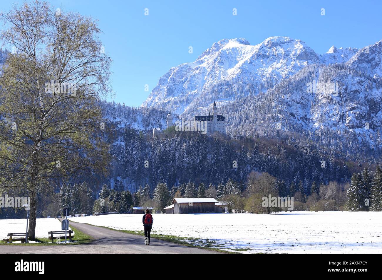 Neige au printemps, château de Neuschwanstein avec Säuling Banque D'Images