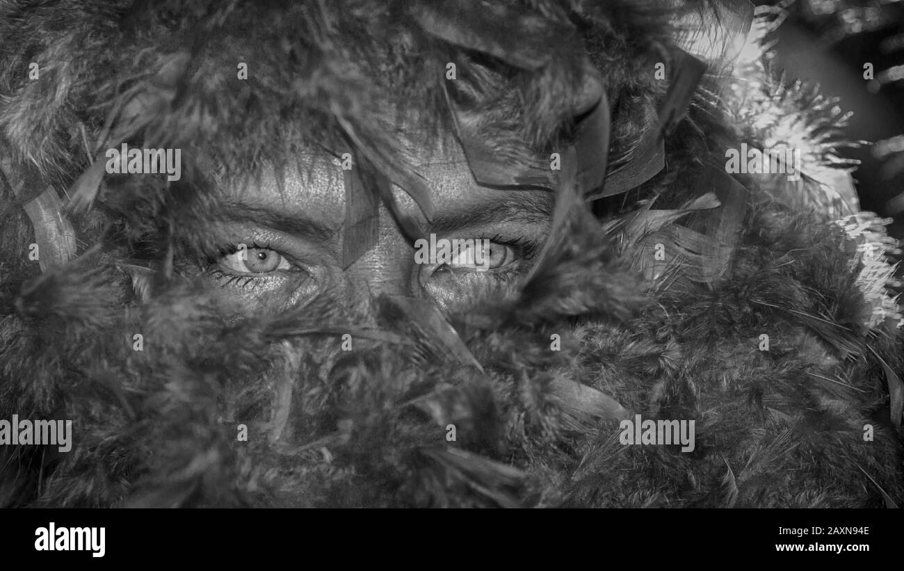 Le visage d'une femme caché derrière une plume boa. Banque D'Images