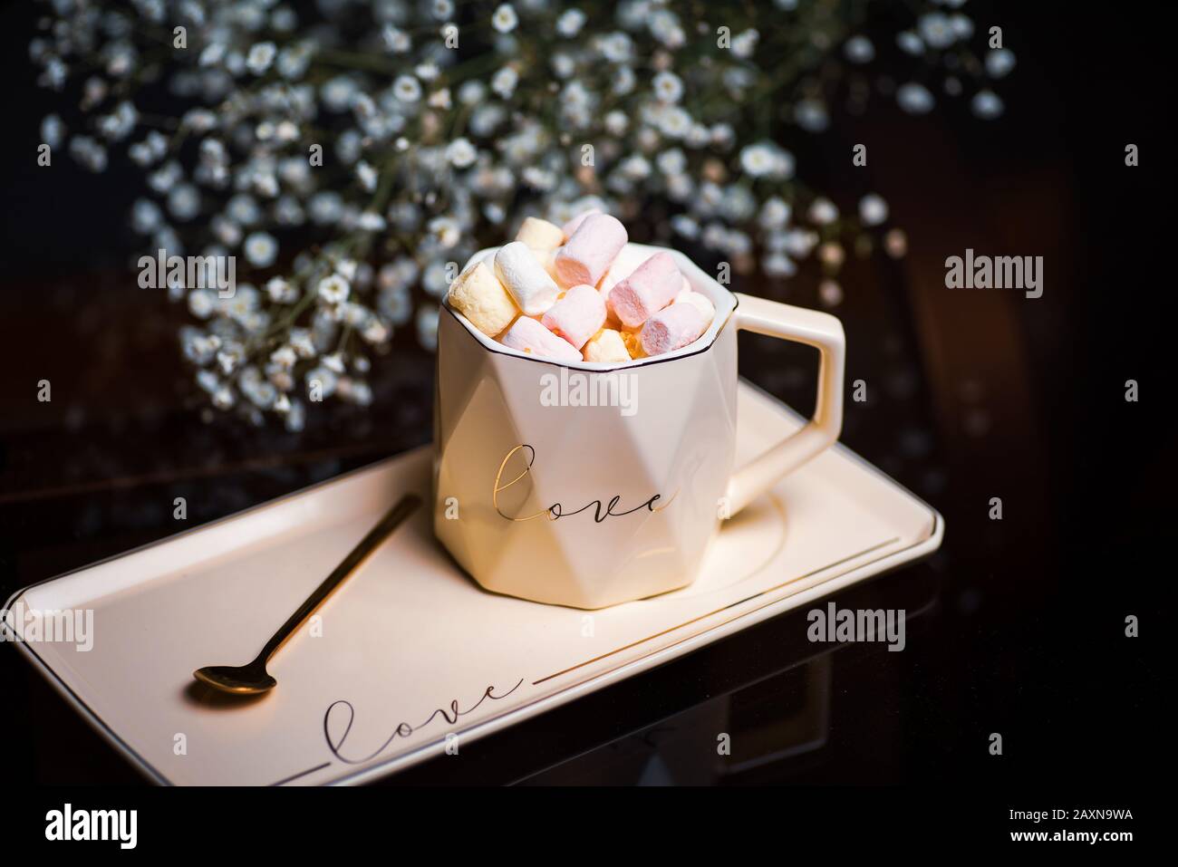 Chocolat chaud avec guimauves et biscuits servis sur une plaque Banque D'Images