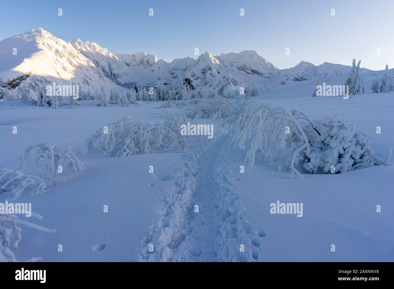 Pics enneigés des Hautes Tatras au soleil de l'après-midi. Banque D'Images