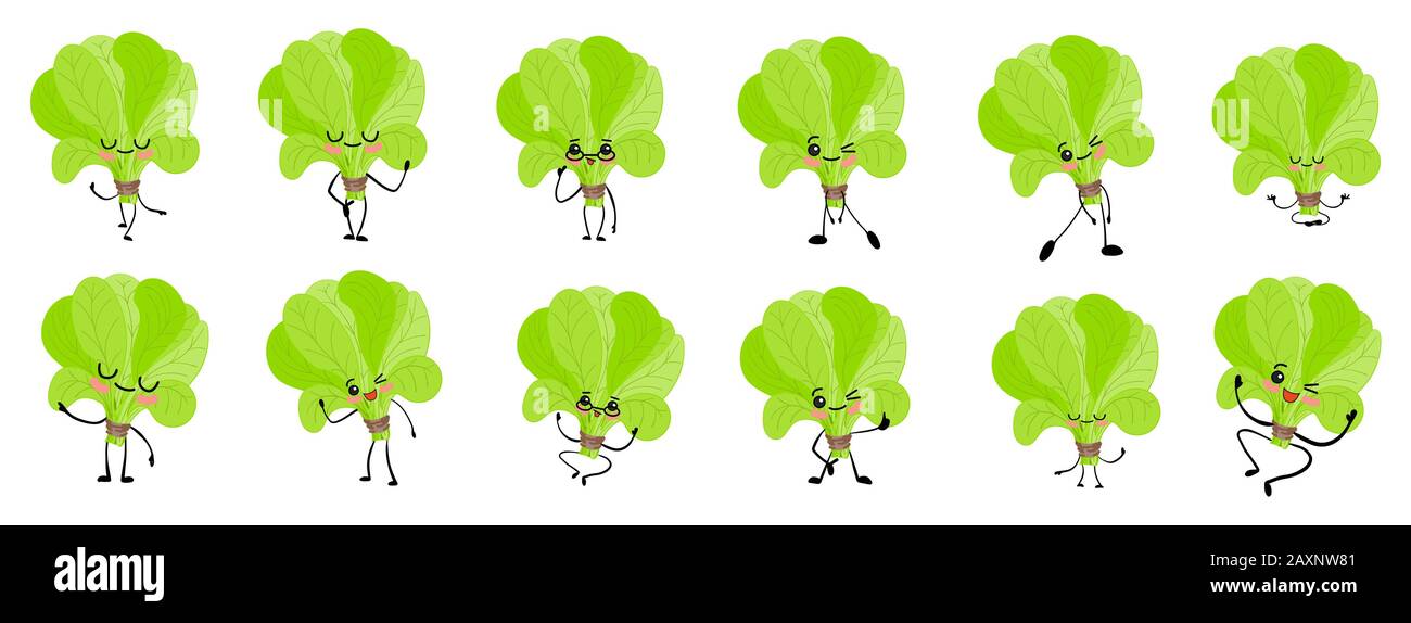 Caractère d'épinards. Cute cartoon. Les légumes et les verts. Caractéristiques bénéfiques. Les feuilles d'oseille. Banque D'Images