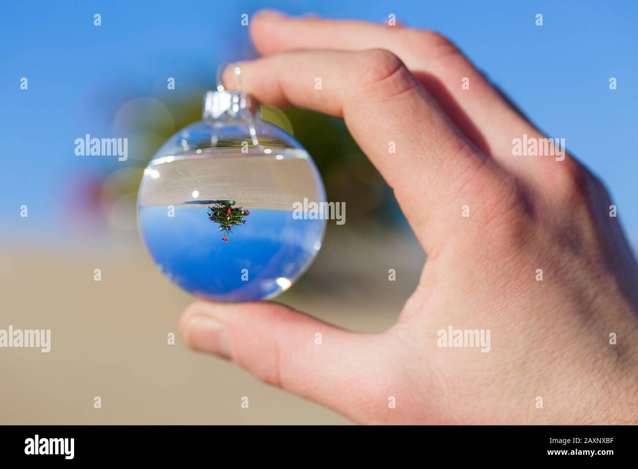Arbre de Noël, désert, décoration, boule de Noël remplie d'eau Banque D'Images