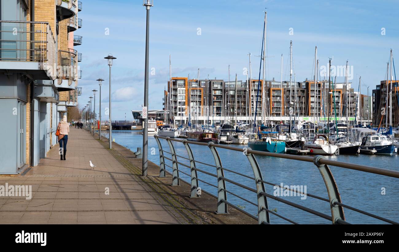 Port de plaisance de Portishead Quay, Angleterre Royaume-Uni : une promenade le long de la marina de Portishead Quay avec yachts et appartements le jour ensoleillé. Banque D'Images