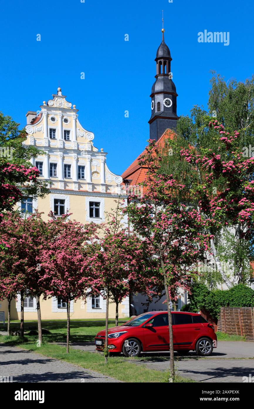 Brandebourg, Lübben, Spreewald, château, détail, parking, arbres fleuris Banque D'Images